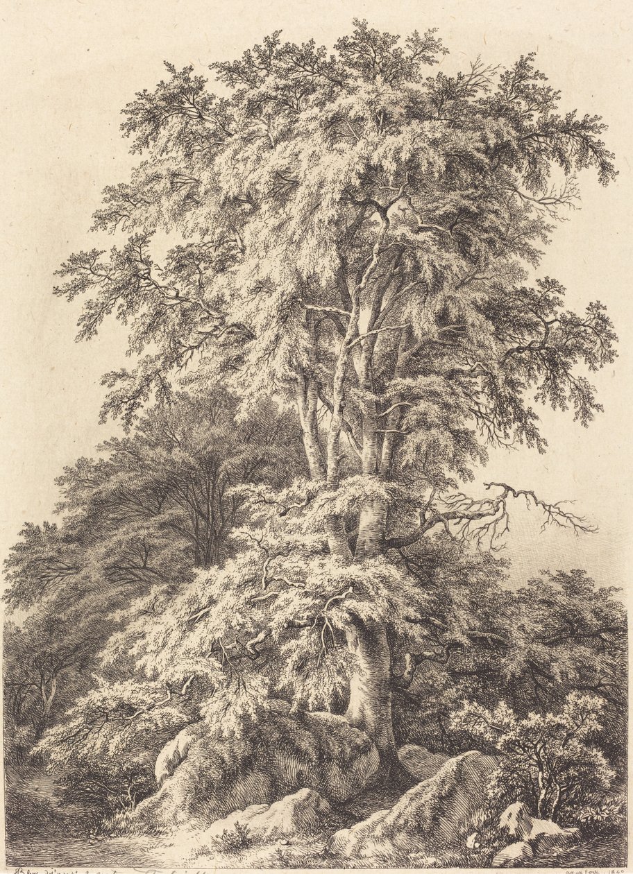 Beech Grove, 1840. av Eugene Bléry