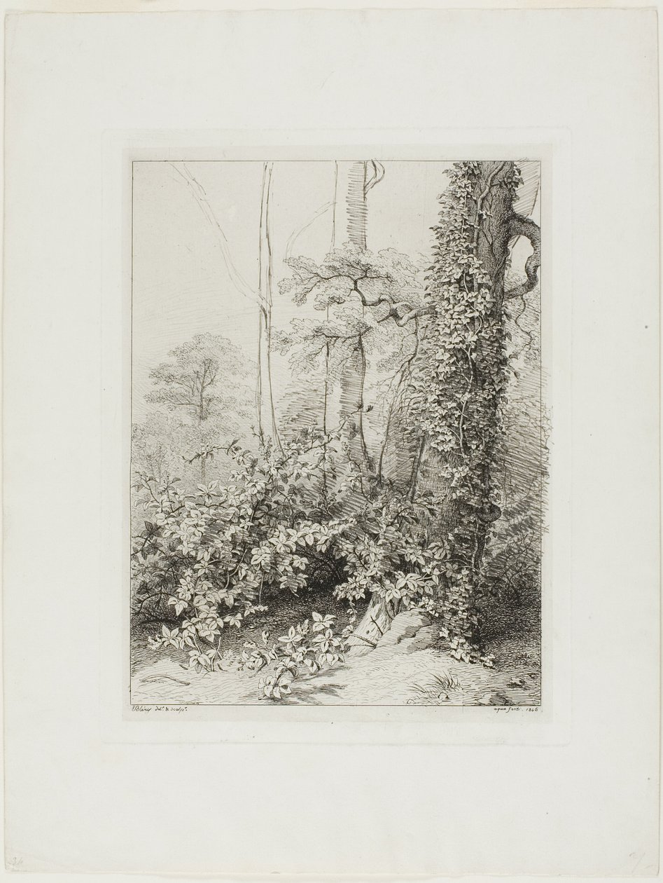 Bramble og Ivy av Eugene Bléry