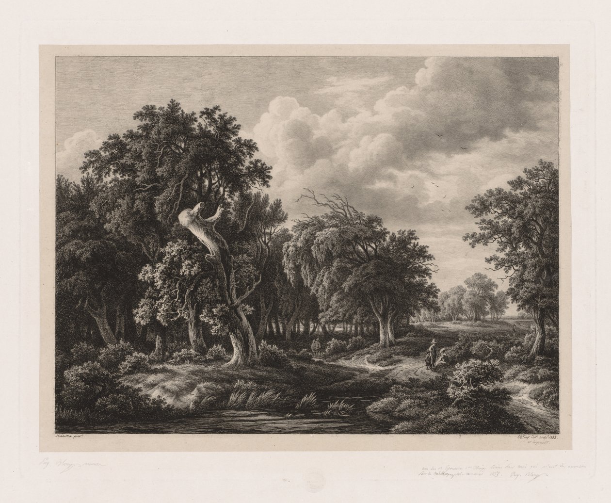 Grupper av forskjellige planter tegnet etter naturen: nr. 7, 1855. av Eugene Bléry