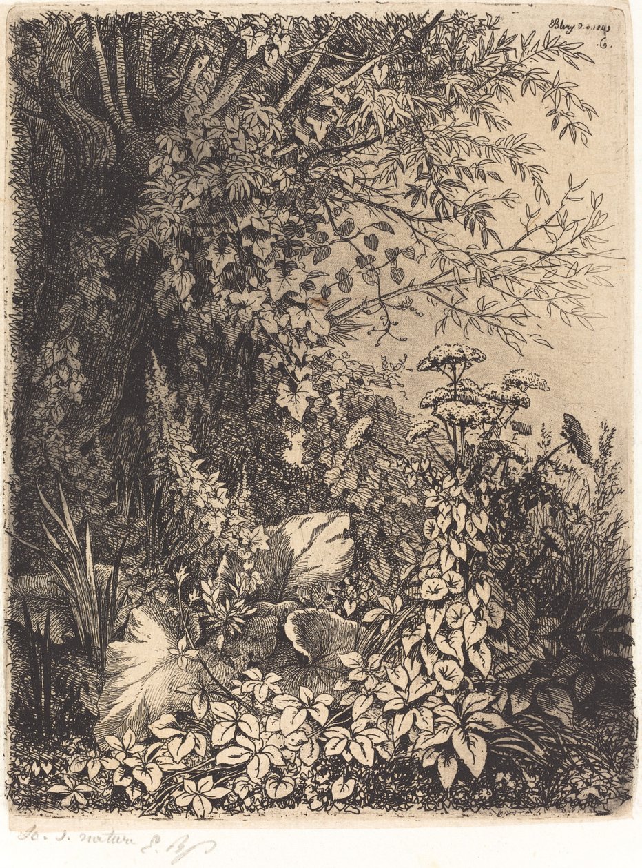 La bardane au saule (burdock med pil) av Eugene Bléry