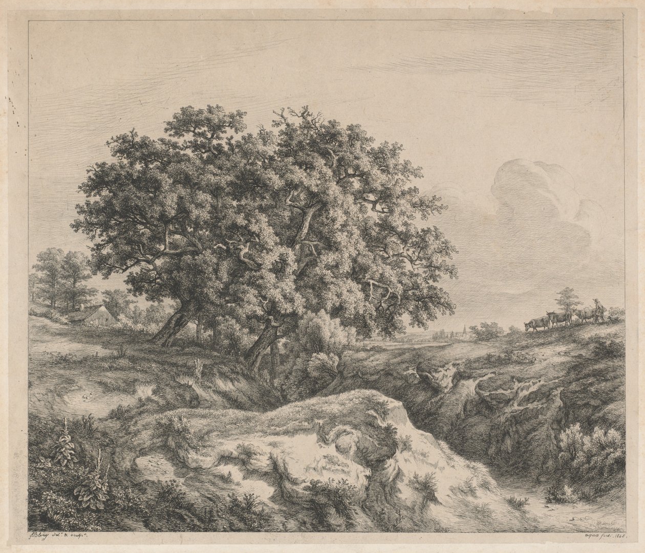 Eiketre ved en ravine av Eugene Bléry