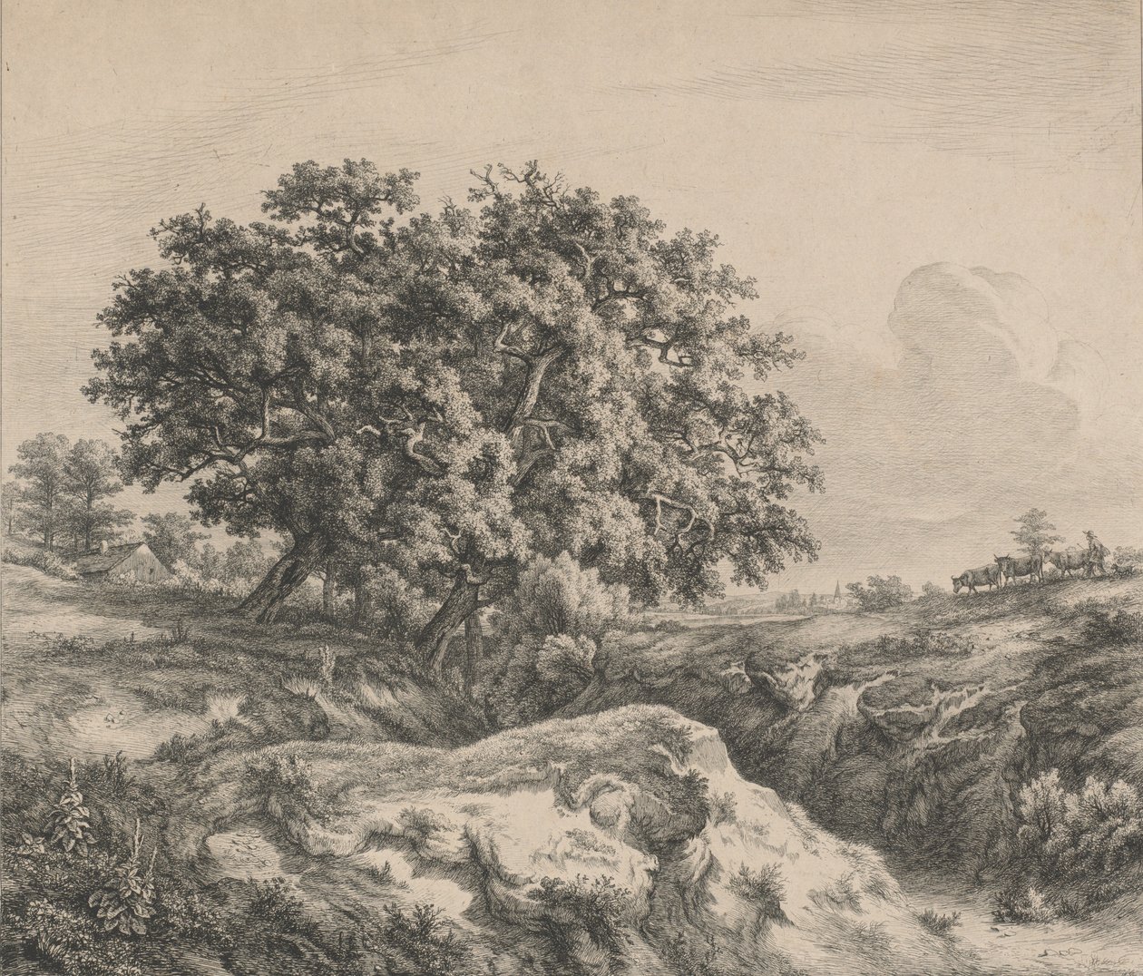Le chêne au ravin Oak Tree by a Ravine, 1845.    1181880   no       norwegian Successfully Translated  Original: Design for a Dish with Portraits of the Roman Emperors Caesar, Claudius, and Otho, ca...., ca. 1588. Translat: Design for a Dish with Portraits av Eugene Bléry