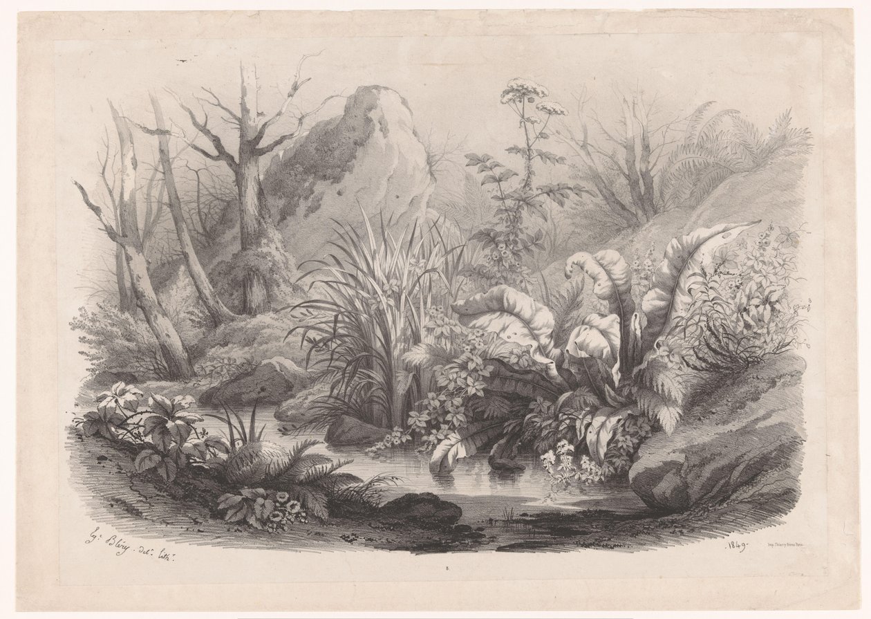 Oeverplanten ved en beek Diverse planter (serietittel) Grupper av ulike planter tegnet på naturen og litografert (serietittel) av Eugene Bléry