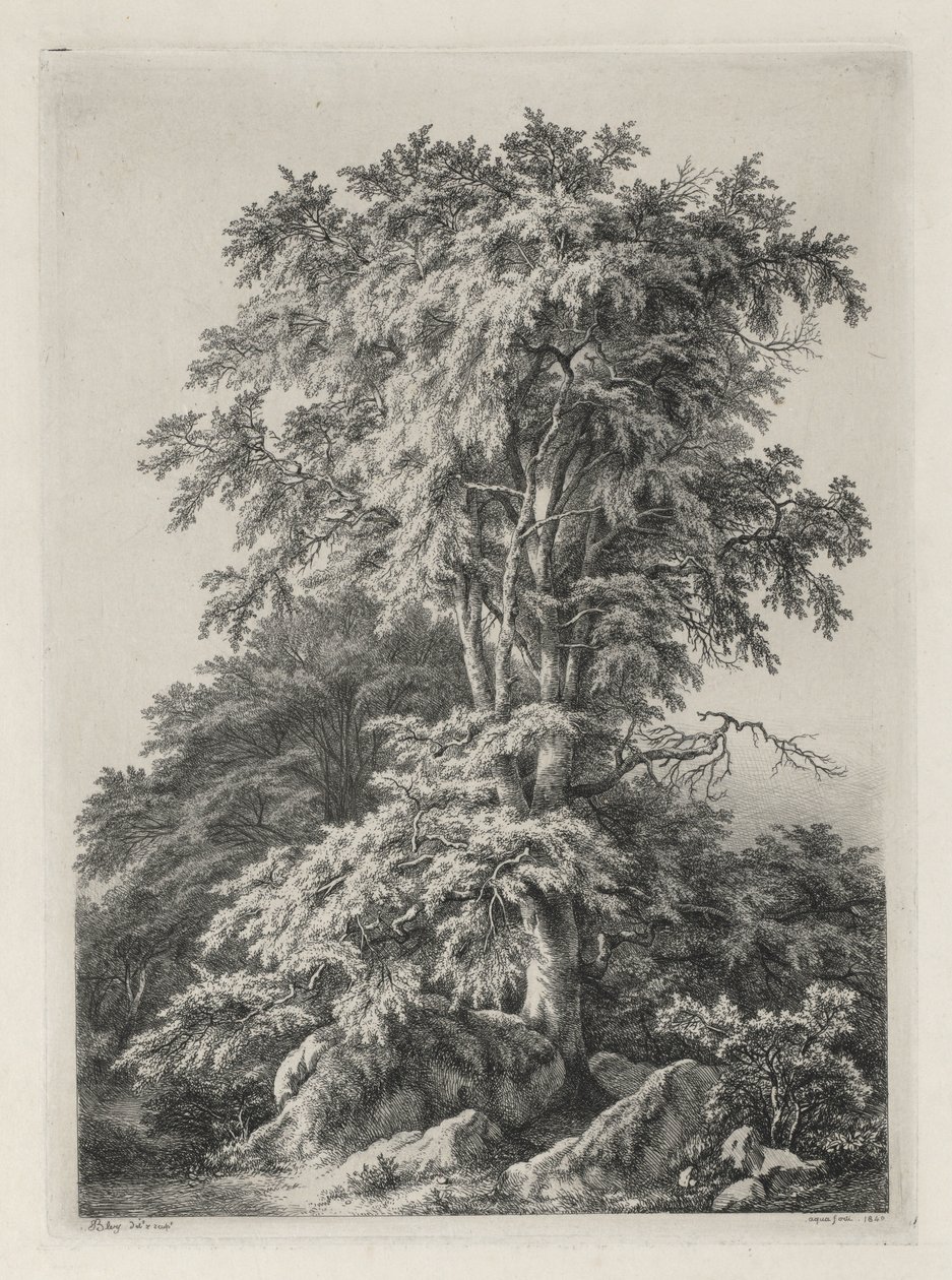 Studier tegnet og gravert etter naturen: Stranden, Fontainbleau..., 1840. av Eugene Bléry