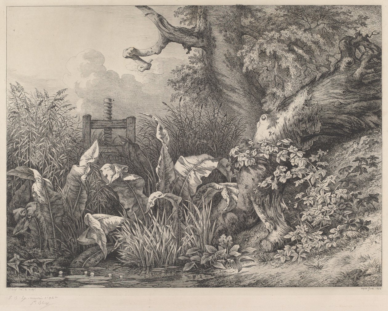 Water Dock og brambles at a Sluice av Eugene Bléry