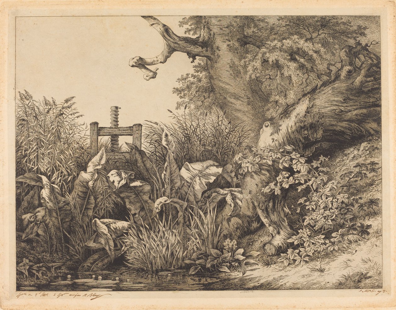 Water Dock og brambles at a Sluice av Eugene Bléry