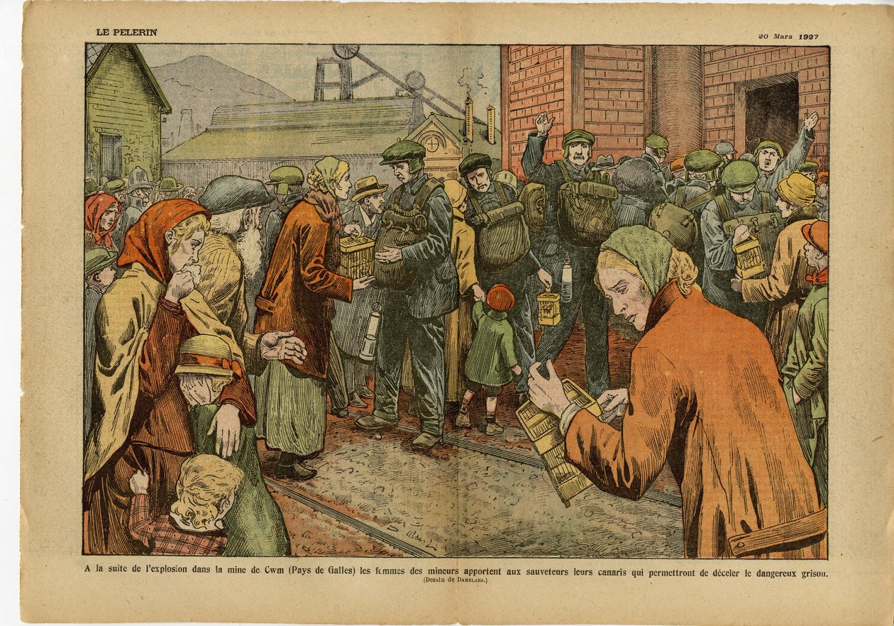 Illustrasjon av Eugene Damblans (1865-1945) i Le Pelerin, 20/03/27 - Etter eksplosjonen i gruven til... bringer kvinnene til gruvearbeiderne til redningsmenn sine kanarifugler som lar dem avskrekke den farlige branndampen - England Storbritannia , Gruvedri av Eugene Damblans