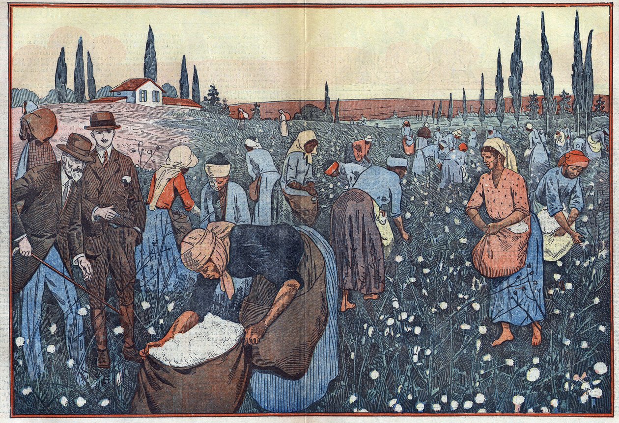 Bomullsavlingen, nær Orleanville, i Chelif-dalen, Algerie. Illustrasjon av Damblans. I "" Le Pelerin"" av 23. februar av Eugene Damblans