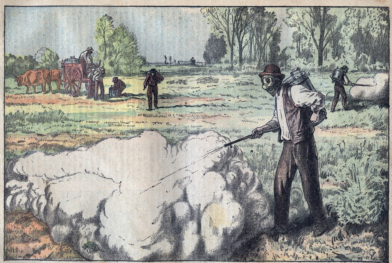 Ødeleggelsen av mulotene (Apodemus) av den kvelende gassen in the Dawn - gravering av Damblans - le-pelerin fra 1923 av Eugene Damblans
