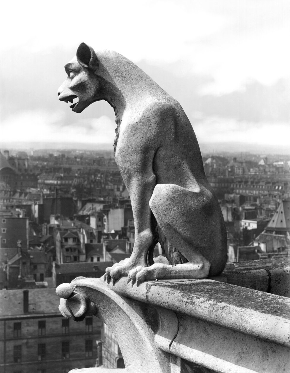 Gargoyle fra balustraden til Grande Galerie på vestfasaden, kopi av en original fra 1100-tallet (stein) (s/hv-bilde) av Eugene Emmanuel Viollet le Duc