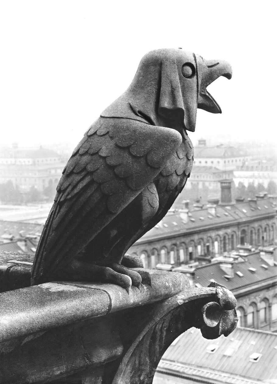 Gargoyle fra balustraden til Grande Galerie på vestfasaden, kopi av en original fra 1100-tallet (stein) (s/hv-bilde) av Eugene Emmanuel Viollet le Duc