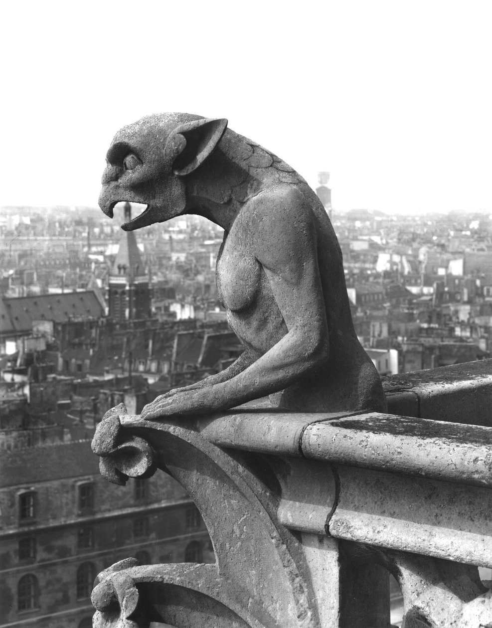 Gargoyle fra balustraden til Grande Galerie på vestfasaden, kopi av en original fra 1100-tallet (stein) (s/hv-bilde) av Eugene Emmanuel Viollet le Duc