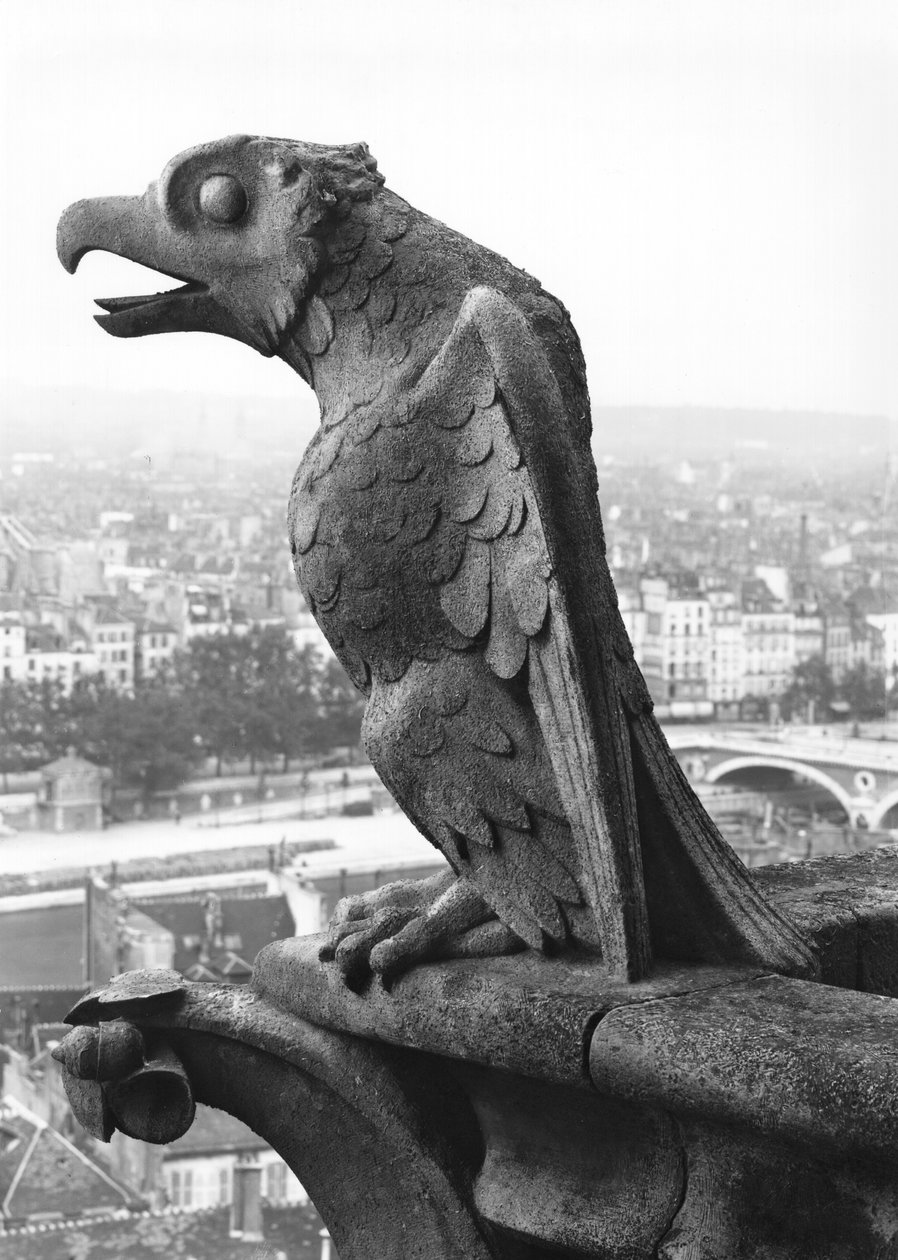 Gargoyle fra balustraden til Grande Galerie på vestfasaden, kopi av en original (stein) fra 1100-tallet (s/hv-bilde) av Eugene Emmanuel Viollet le Duc