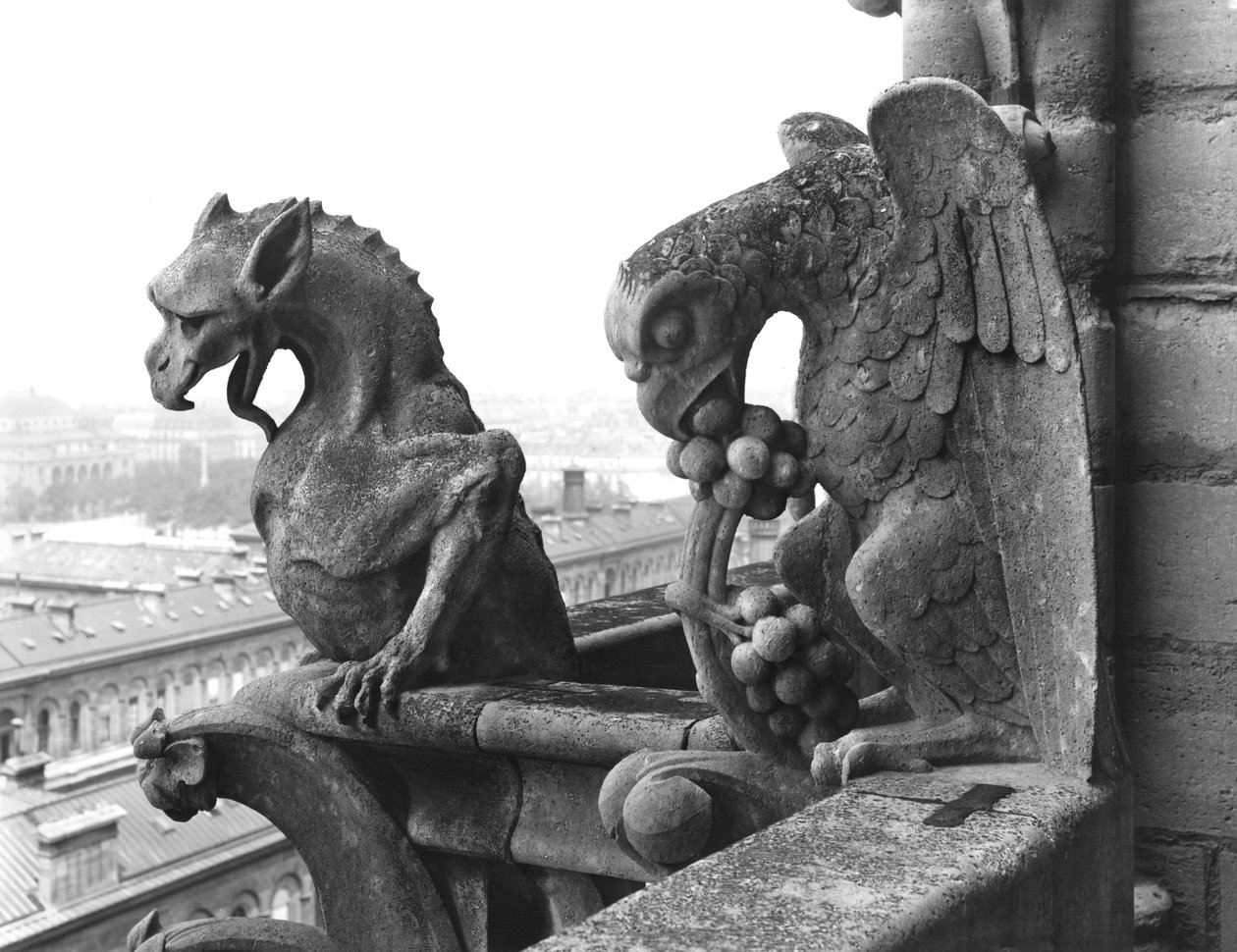 Gargoyler fra balustraden til Grande Galerie på vestfasaden, kopi av en original (stein) fra 1100-tallet (s/hv-bilde) av Eugene Emmanuel Viollet le Duc