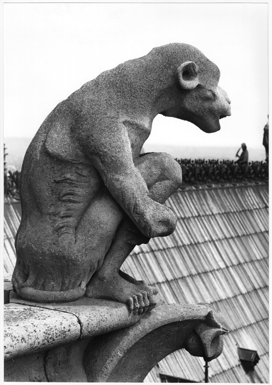 Monkey gargoyle, fra balustraden til Grande Galerie på vestfasaden, kopi av en original fra 1100-tallet (stein) (s/hvitt-bilde) av Eugene Emmanuel Viollet le Duc