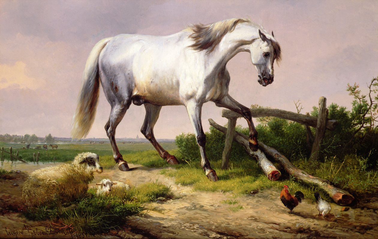 En grå hingst med sau og fjørfe av Eugene Joseph Verboeckhoven