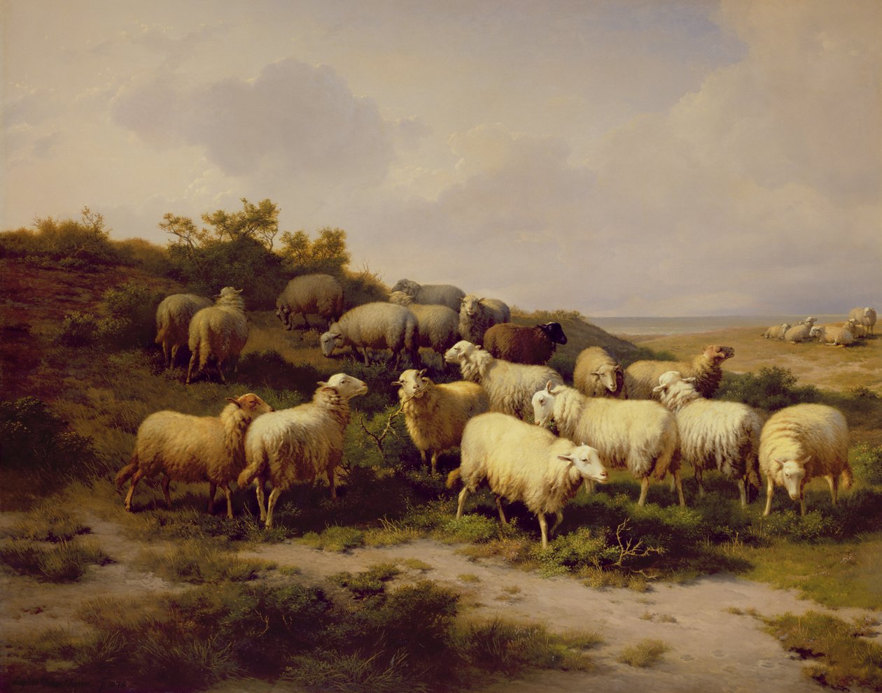 Sauer på kysten, 1878 av Eugene Joseph Verboeckhoven