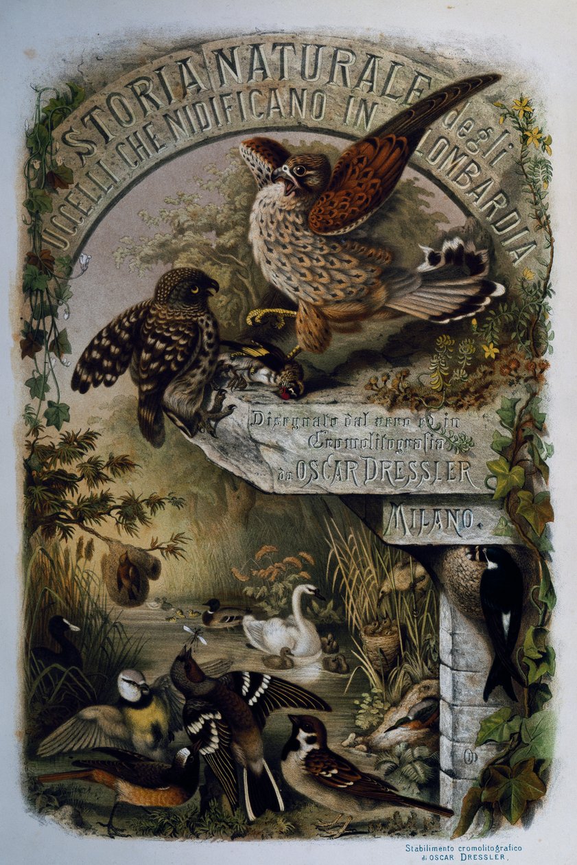 Tittelside av Natural History of Birds that hekker i Lombardia, av Eugenio Bettoni (1845-1898), gravering av Oscar Dressler, Italia av Eugenio Bettoni, Oscar Dressler
