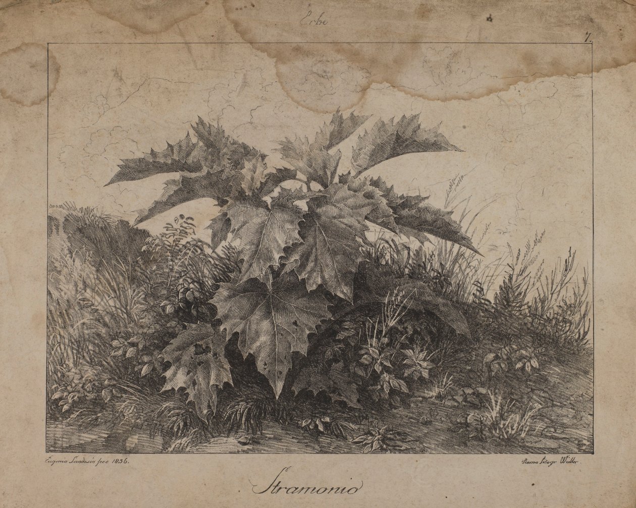  av Eugenio Landesio