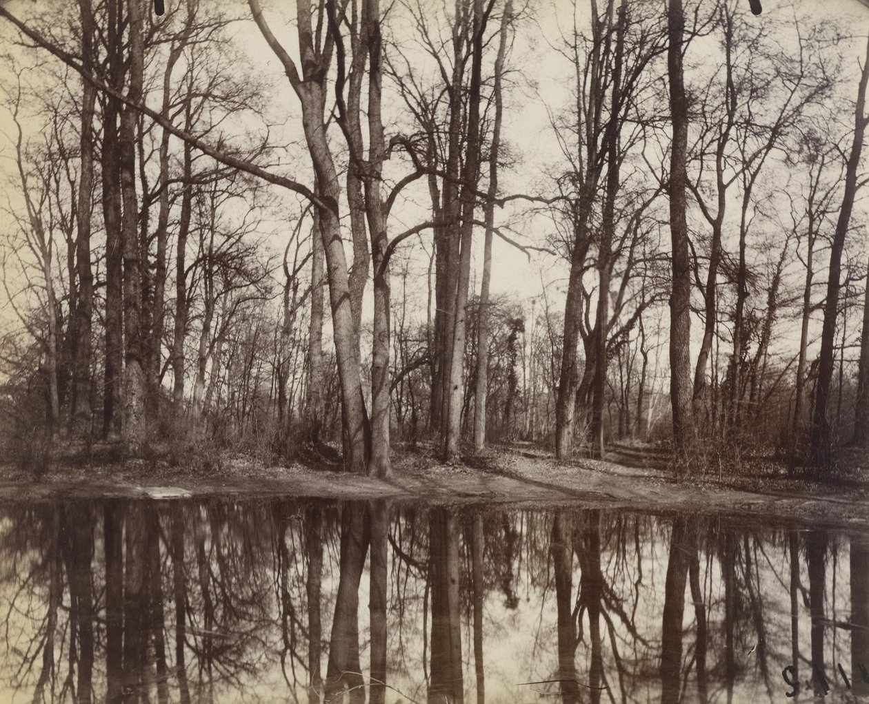 Saint-Cloud (hagene til slottet til Philippe Duc dOrleans) av Eugène Atget