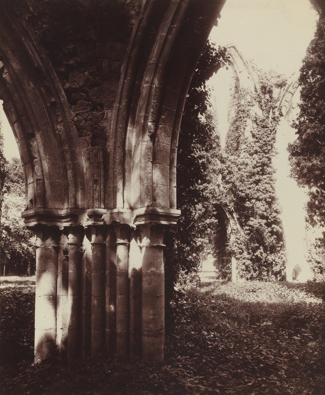 Dammarie-les-Lys, ruiner av Eugène Atget