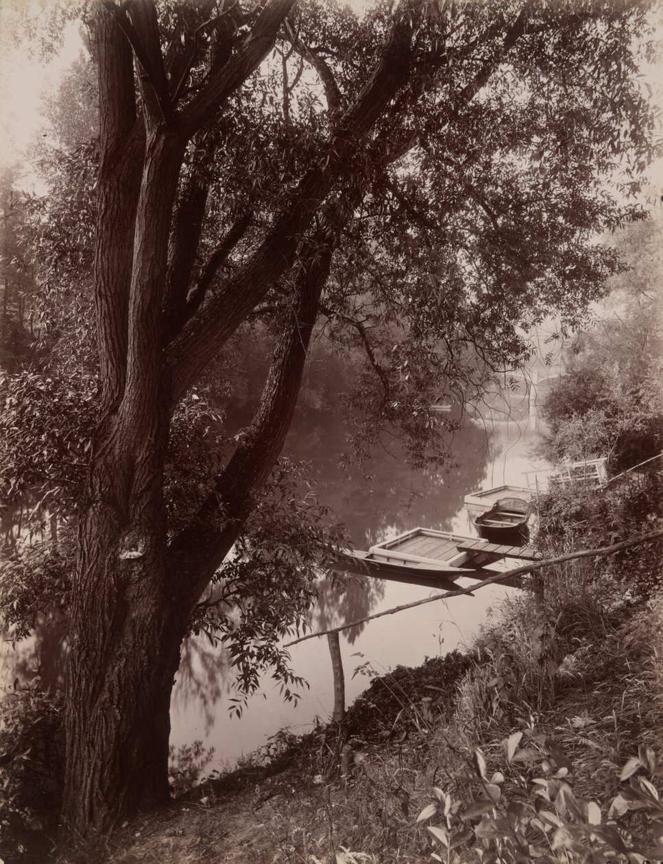 Marne? La Varenne (The Marne at La Varenne) av Eugène Atget