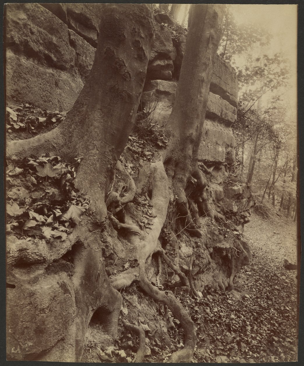  av Eugène Atget