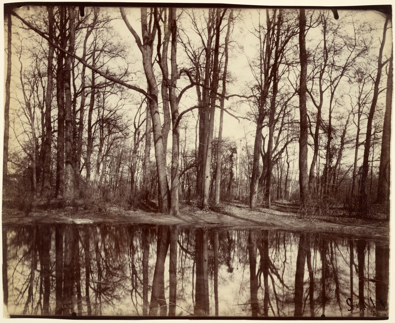  av Eugène Atget