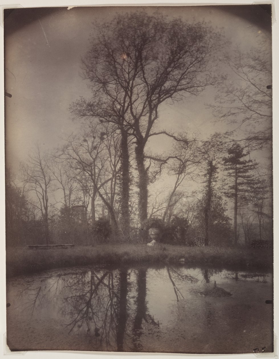 Parken ved Sceaux [april 1925, kl. 07.00], 1925. av Eugène Atget