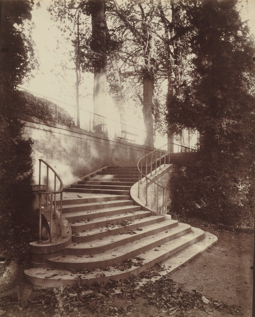Trinnene ved Saint-Cloud av Eugène Atget