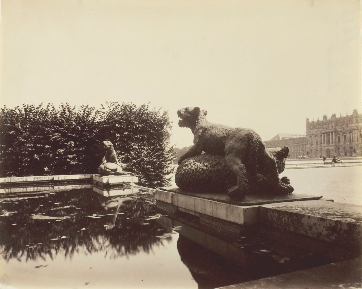 Versailles, Fontaine du Point du Jour, Tiger Slaying a Bear av Houzeau, 1903. av Eugène Atget