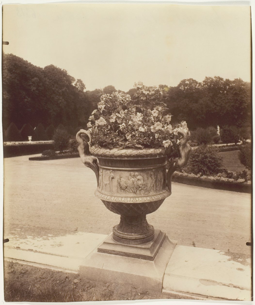 Versailles, Vase av Ballin, 1902. av Eugène Atget