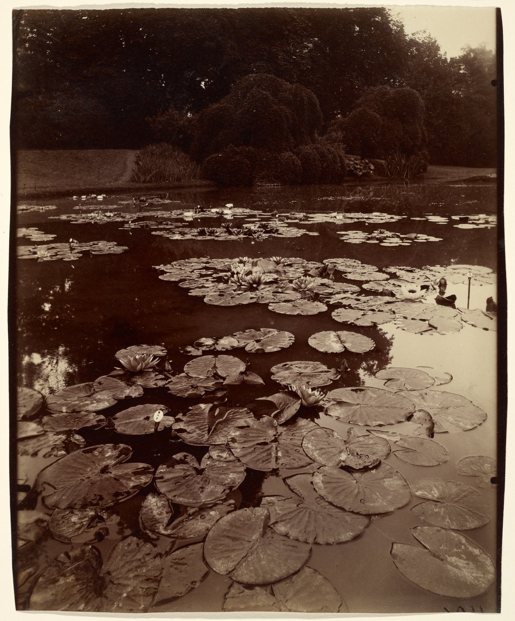  av Eugène Atget