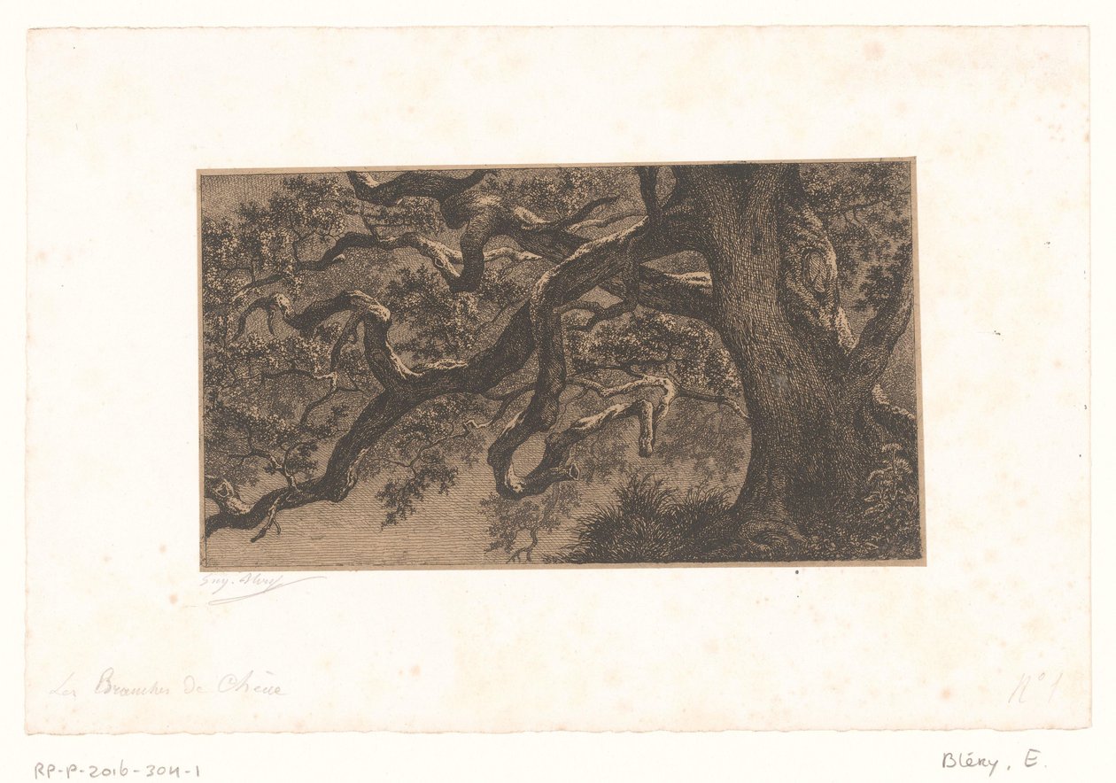 Kastanjetakken Oak Branches (tittel på objekt) Liten utsikt over skogen i Fontainebleau (serietittel) av Eugène Bléry (signed by artist)