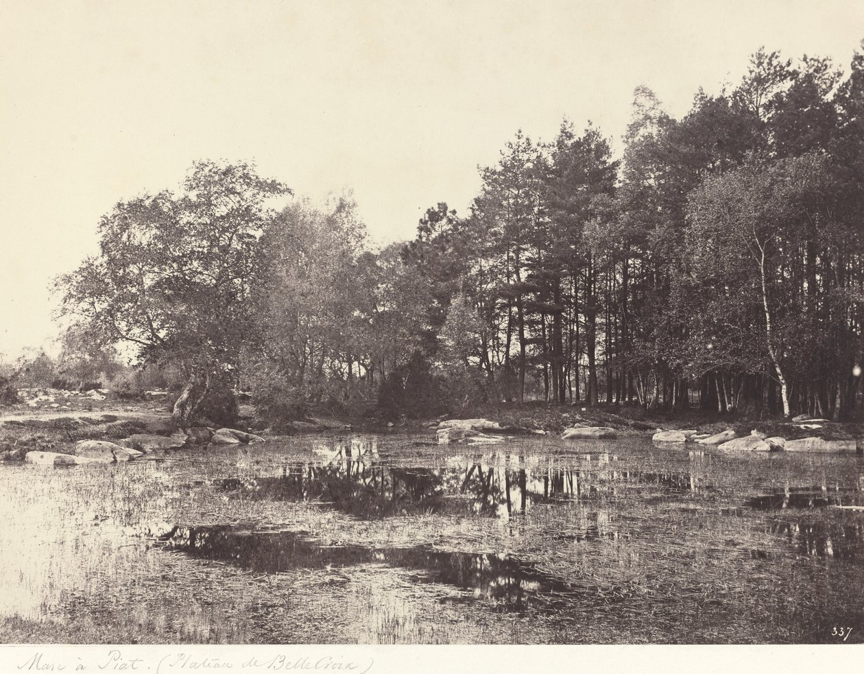Myr ved Piat (Belle-Croix-platået) av Eugène Cuvelier