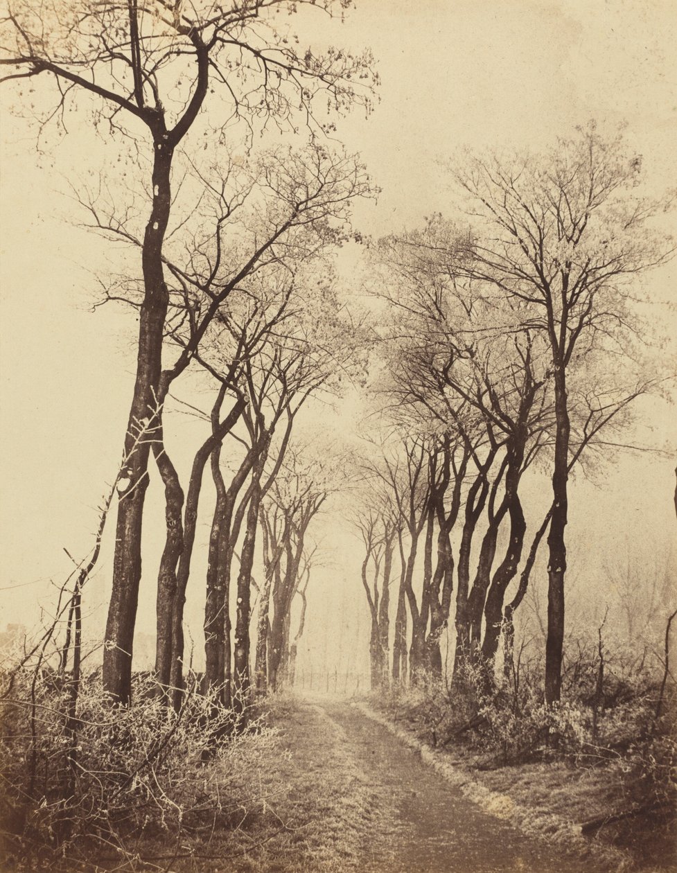  av Eugène Cuvelier