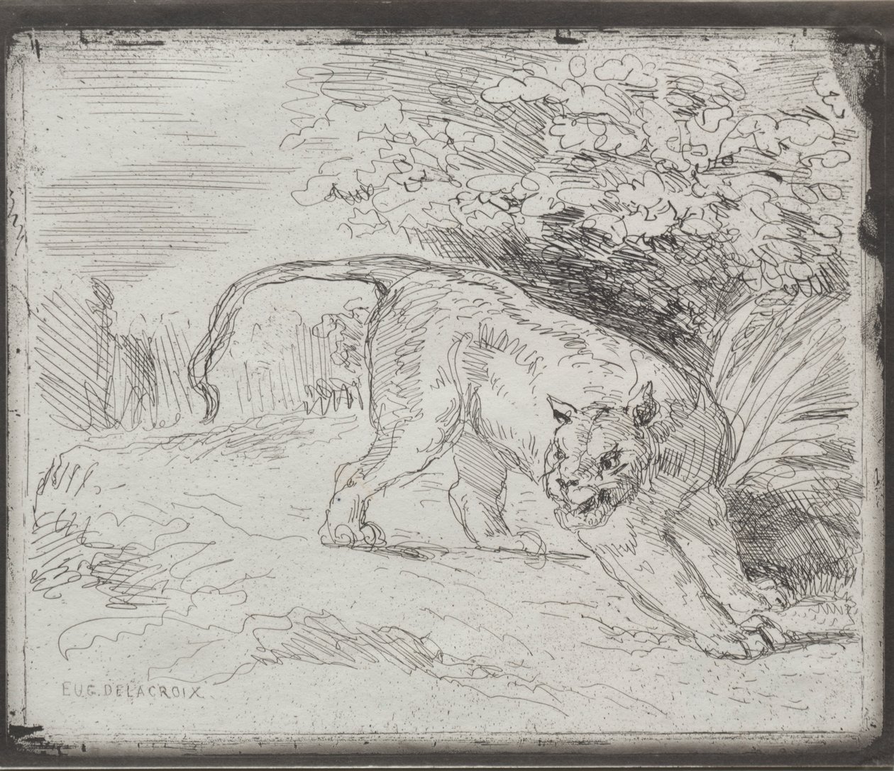 En fanget tiger av Eugène Delacroix