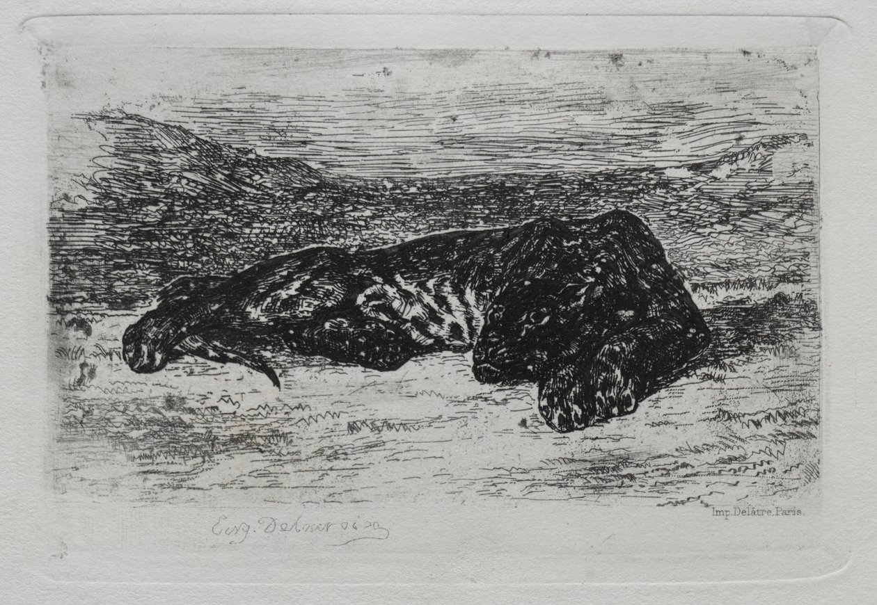 Hukende tiger i ørkenen av Eugène Delacroix