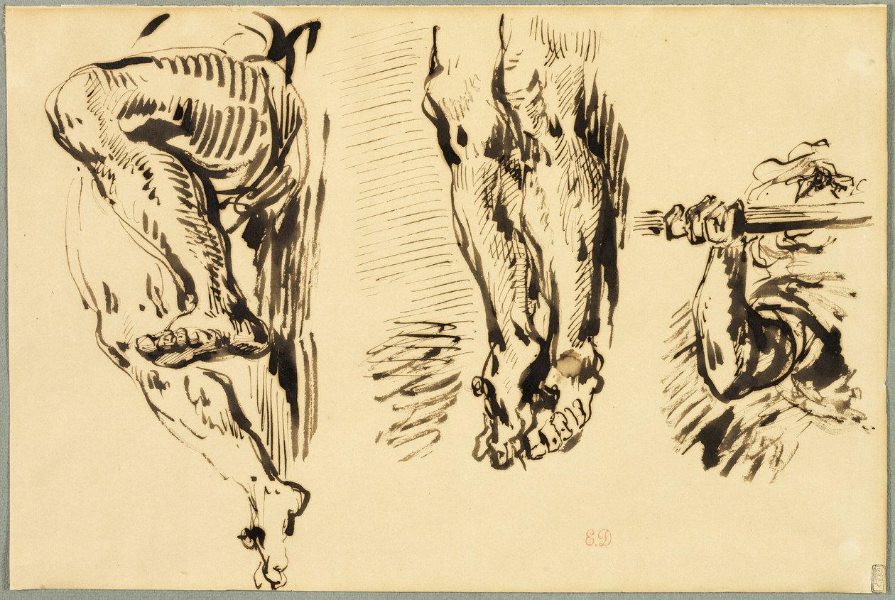 Studie av armer og ben til Kristus korsfestet av Eugène Delacroix