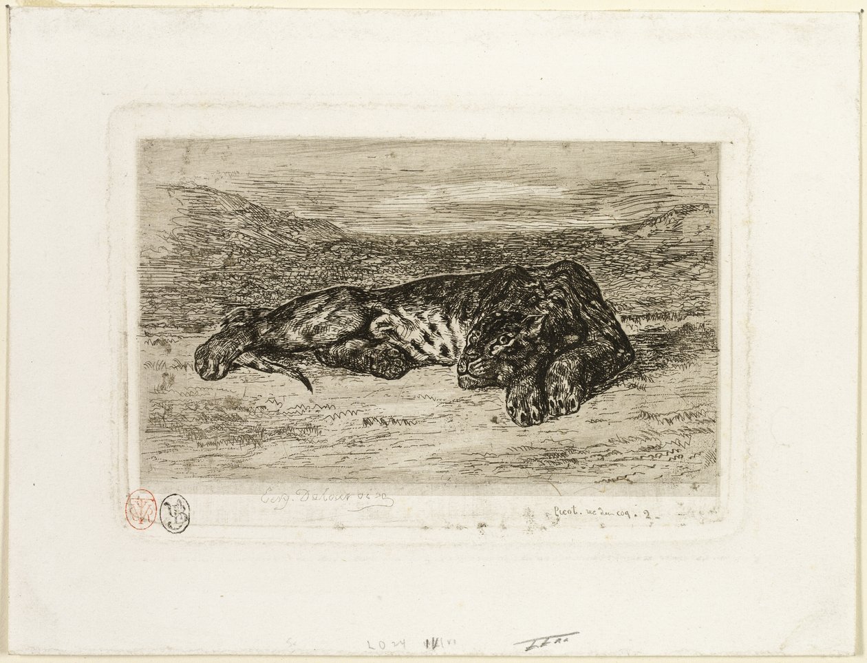 Tiger hviler i ørkenen av Eugène Delacroix