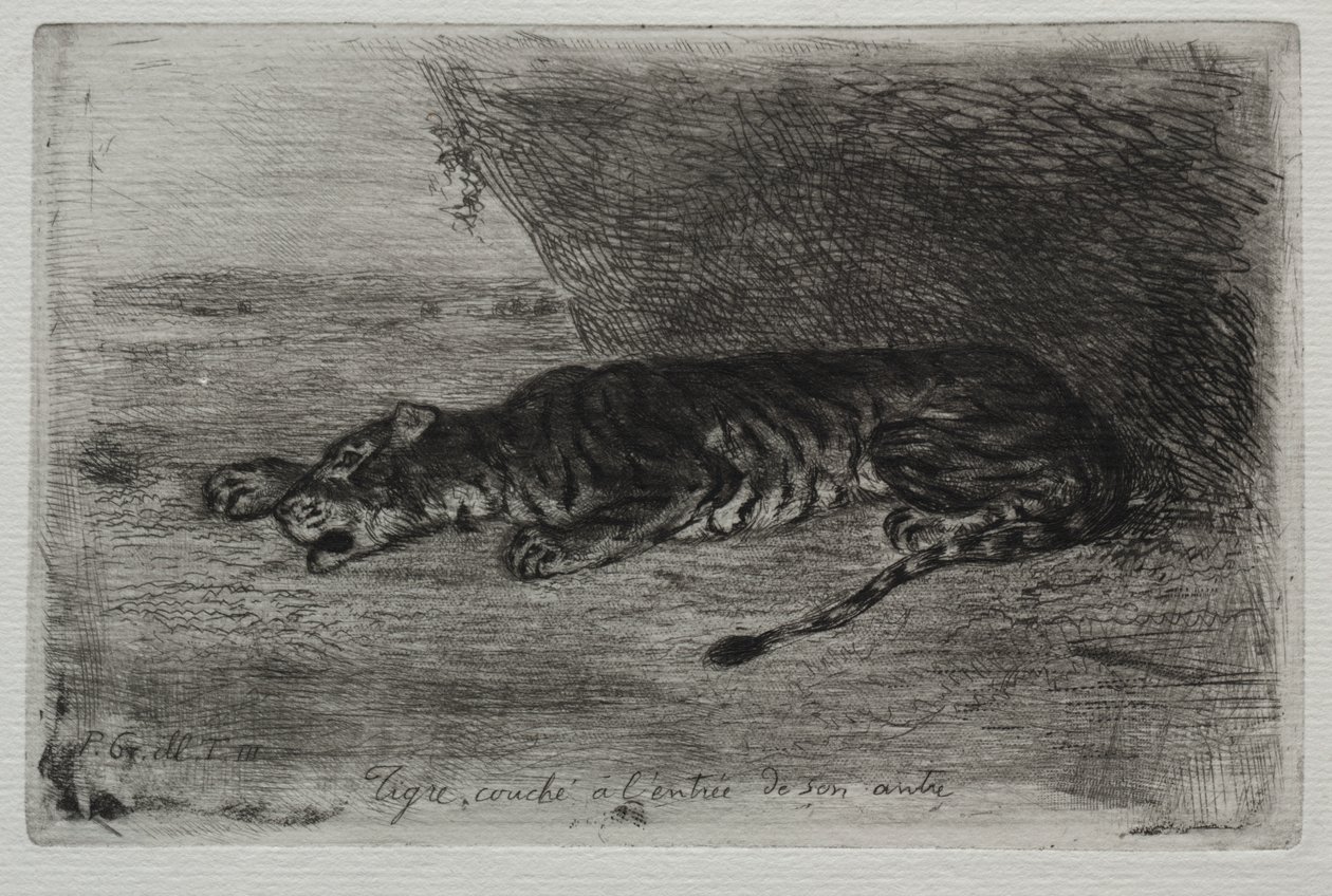 Tiger som sover ved inngangen til sin hule av Eugène Delacroix