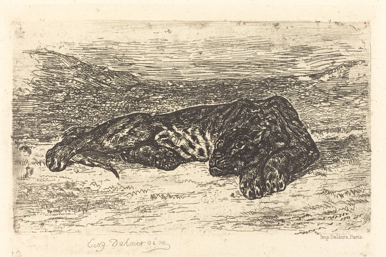 Tiger som sover i ørkenen Tiger som sover i ørkenen, 1846. av Eugène Delacroix