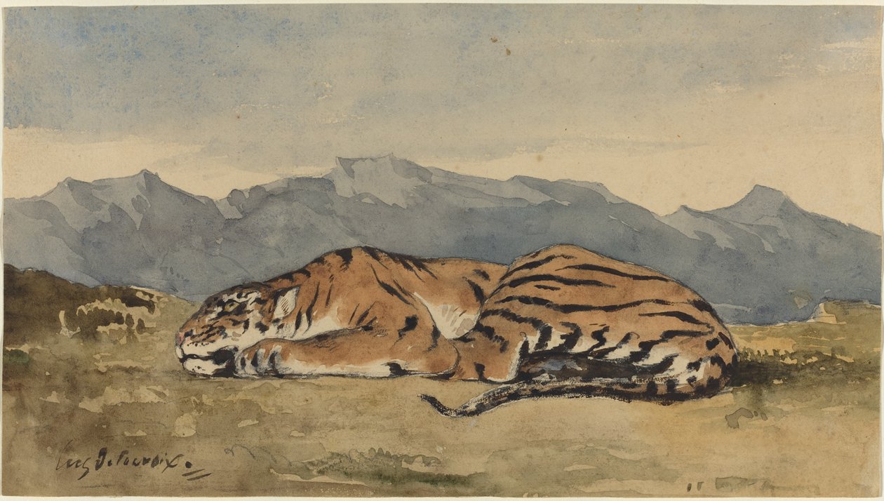 Tiger, c. 1830. av Eugène Delacroix