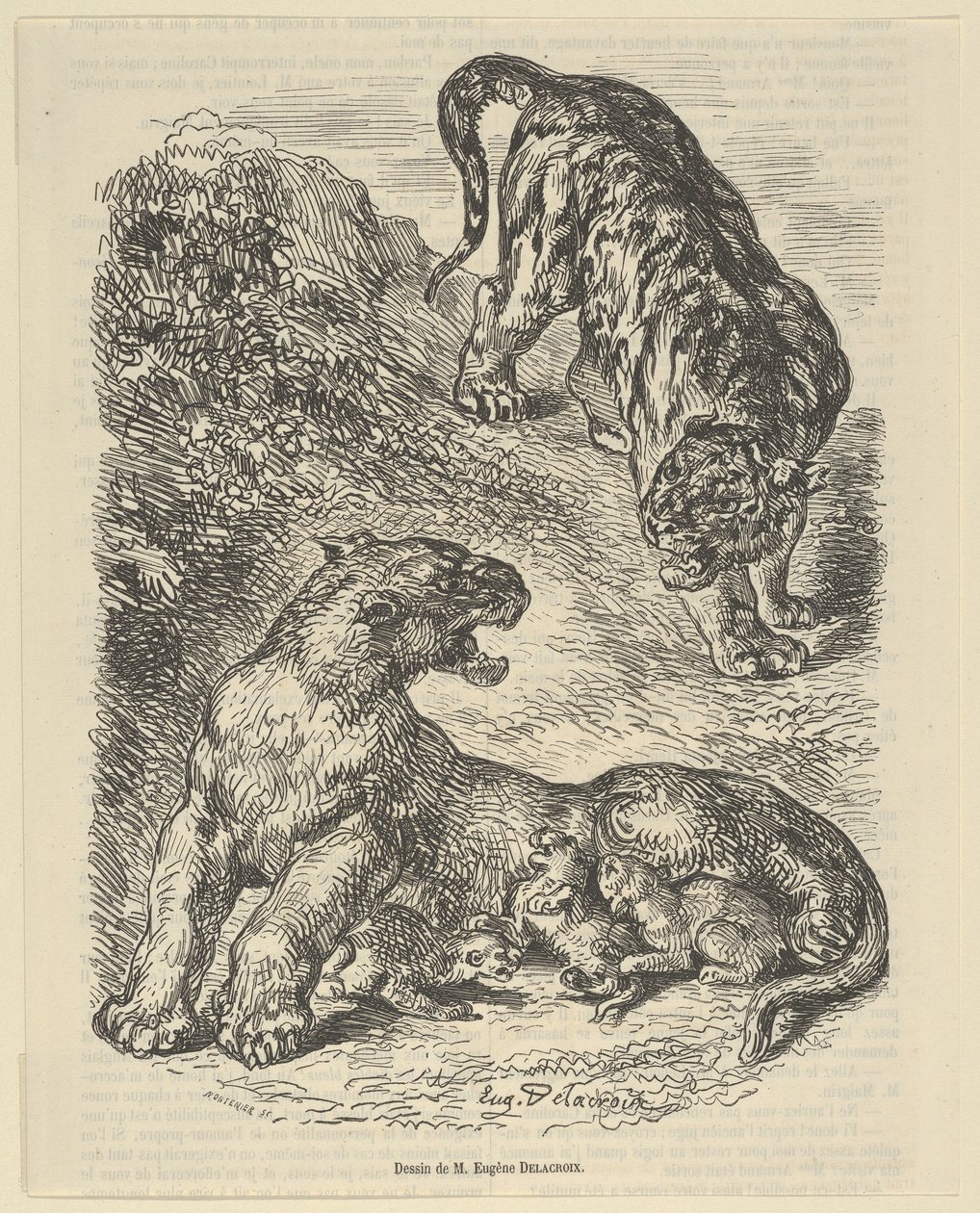 Tigress angrepet av en tiger mens hun ammer hennes unge, 1853., 1853. av Eugène Delacroix