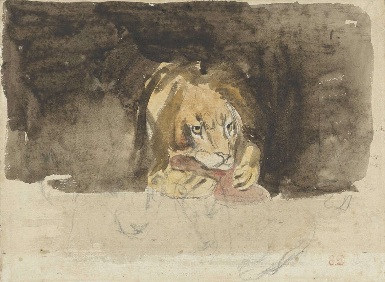 Kjøttetende løve, sett forfra, kommer ut mot en mørk bakgrunn av Eugène Delacroix