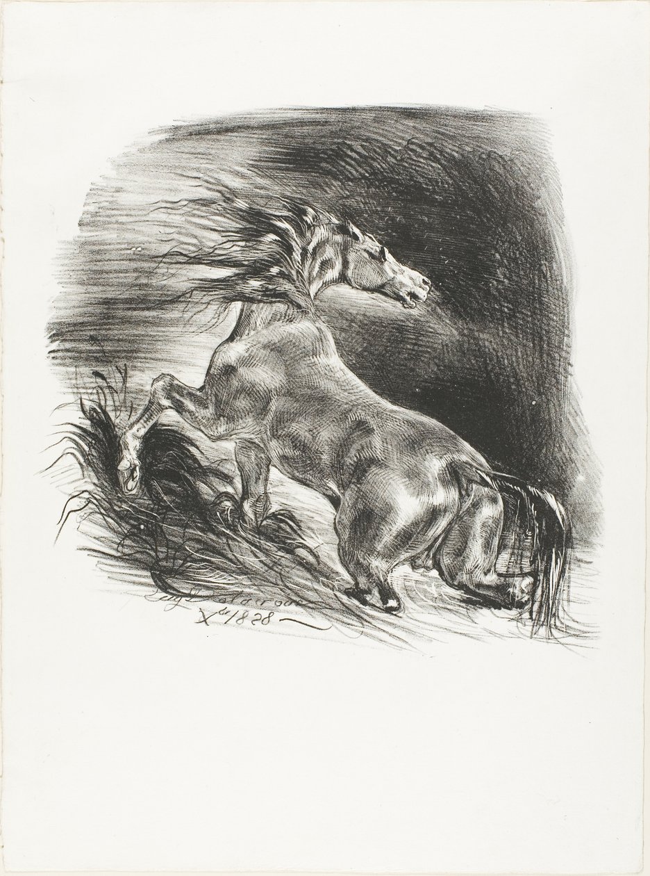 Villhest, eller skremt hest som forlater vannet av Eugène Delacroix