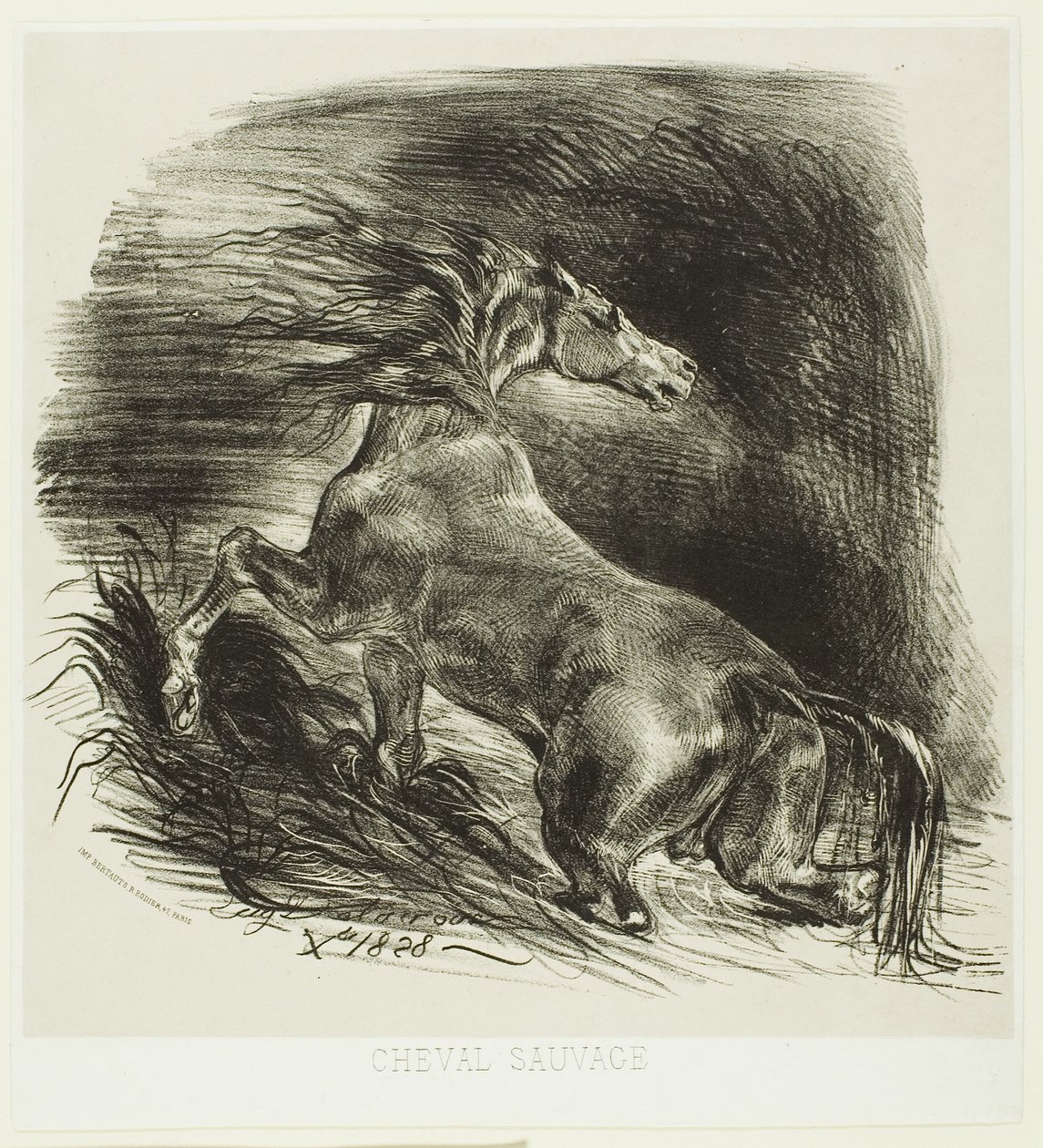 Villhest eller skremt hest som forlater vannet av Eugène Delacroix