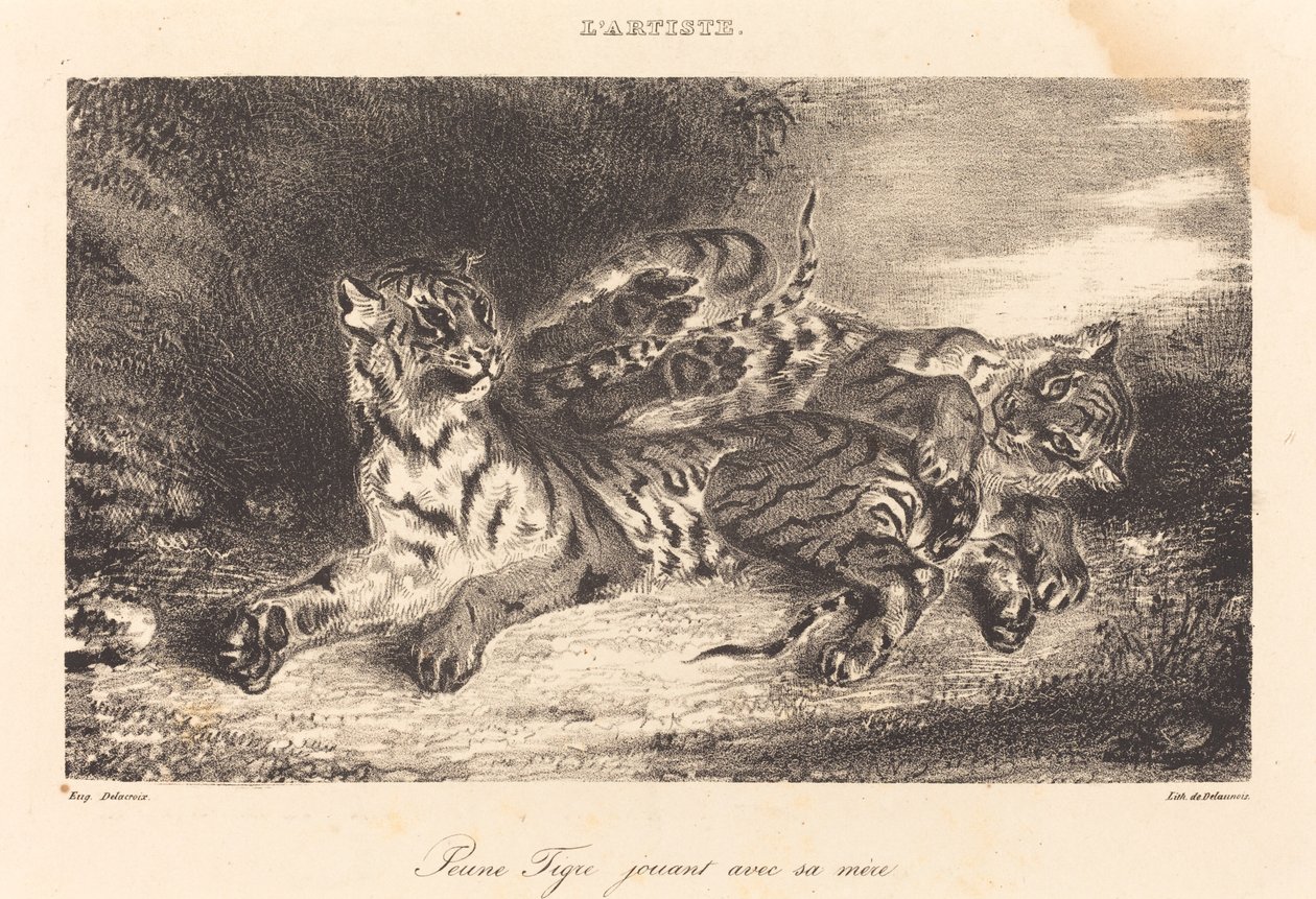 Ung tiger leker med sin mor Ung tiger leker med sin mor, 1831. av Eugène Delacroix
