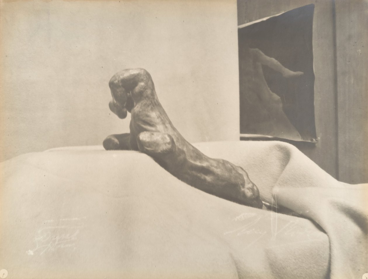 [Auguste Rodins The Clenched Hand], før 1898. av Eugène Druet
