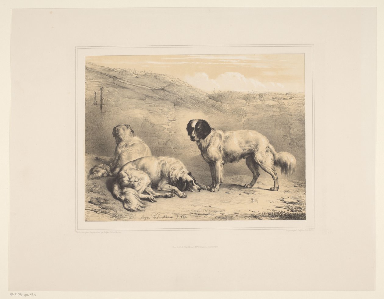 Tre hunder Ulike dyr (serietittel) Etudes d